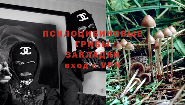 синтетический гашиш Козельск