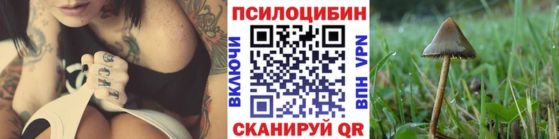 Псилоцибиновые грибы Psilocybe Козельск
