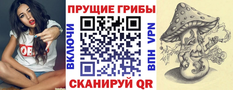 купить цена Козельск Галлюциногенные грибы мицелий